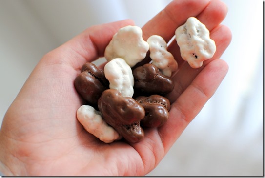 chocolate covered pecans