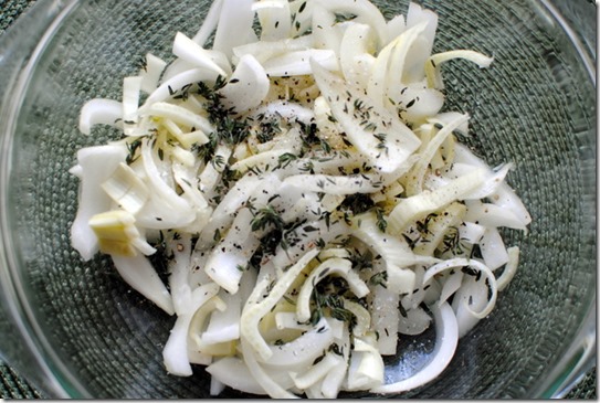 onion and fennel