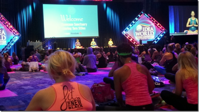 Tara Stiles Yoga