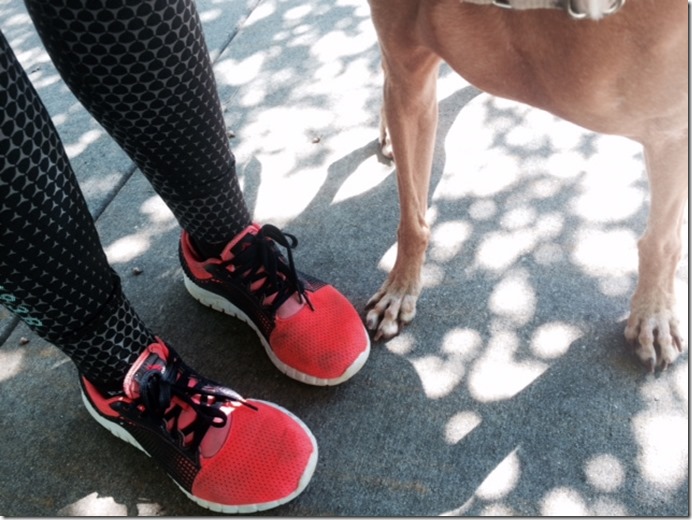 walking dog
