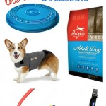 Best Dog Food, Toys and Products For Your Dog Best Dog Food, Toys and Products For Your Dog