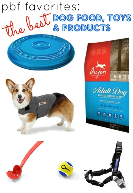 Best Dog Food, Toys and Products For Your Dog