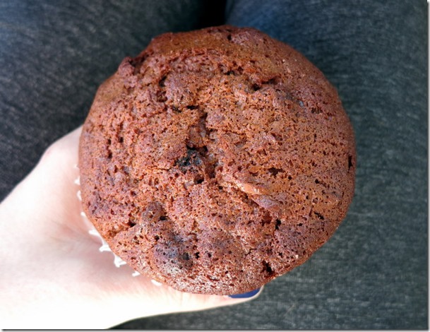 Carrot Cake Muffin