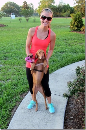 Easy Walk Harness