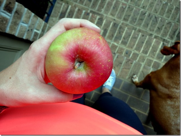 Fuji Apple