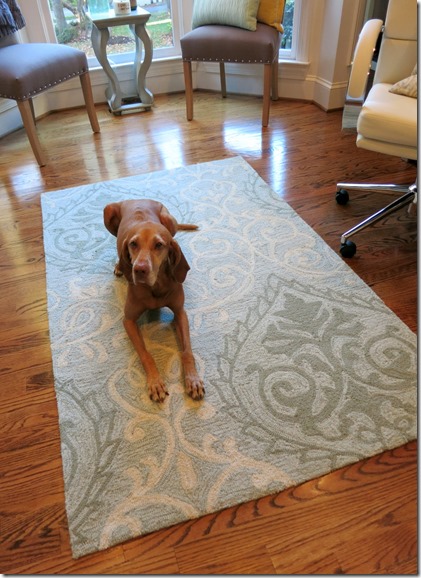 Home Office Rug