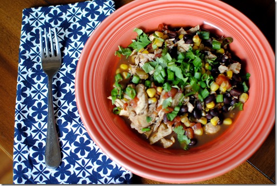 Skinnytaste Crock Pot Santa Fe Chicken Recipe