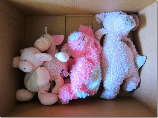 pig dog toys