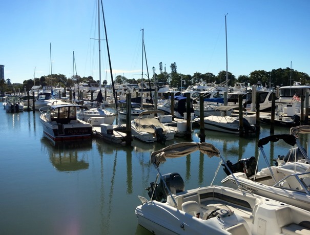 IMG_0720_thumb[2]