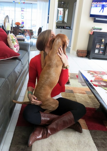 affectionate dog