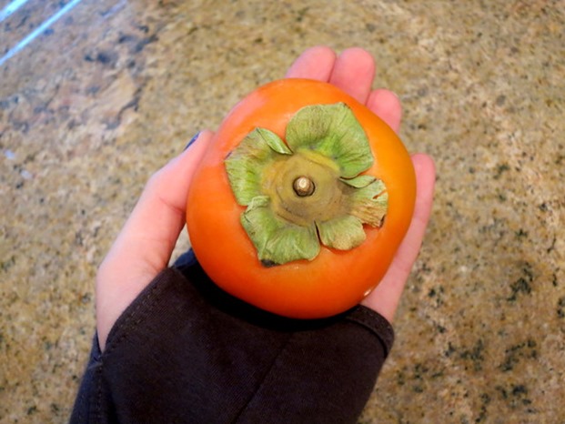 persimmon