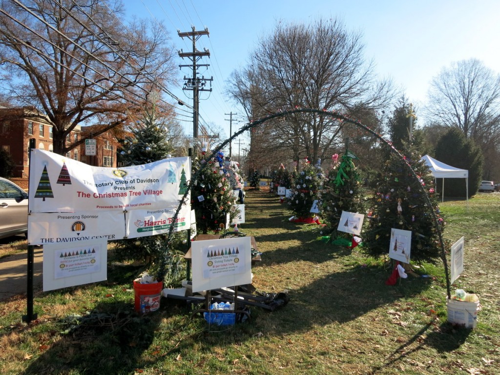 Christmas in Davidson