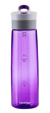 Contigo Water Bottle