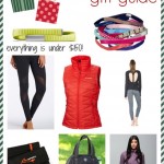 Gift Guide For Fitness Lovers