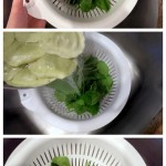 Easy Way to Wilt Fresh Spinach Easy Way to Wilt Fresh Spinach