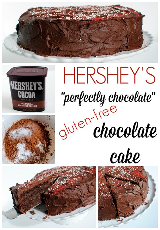 Gluten Free Chocolate Cake Recipe