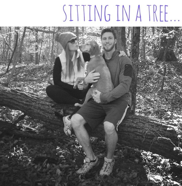 sitting in a tree