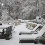 snowinraleigh.jpg