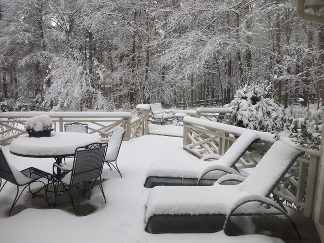 snowinraleigh.jpg