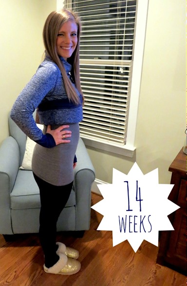 14 weeks pregnant