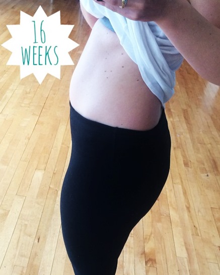 16 weeks pregnant