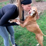 Kiss for Dog Kiss for Dog