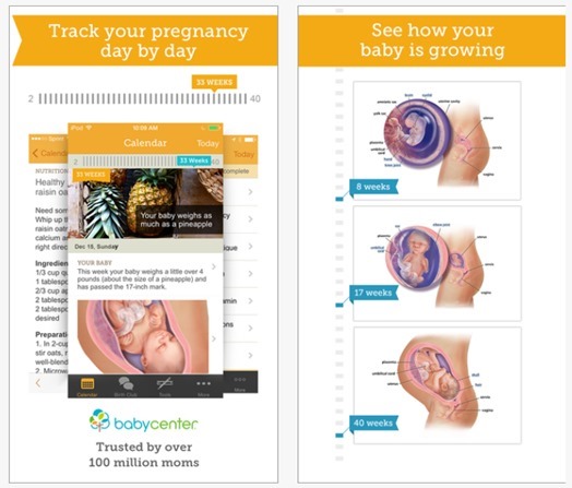 My Pregnancy App