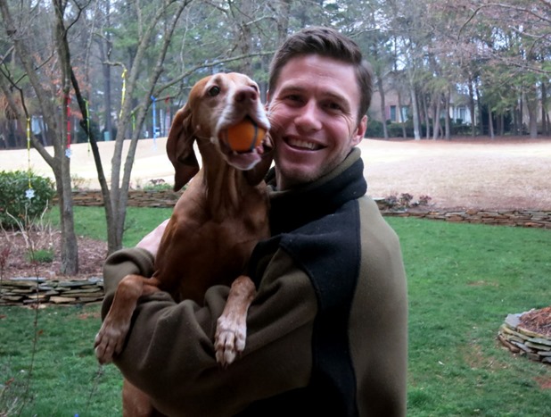 vizsla with ball