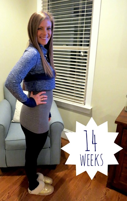 14 weeks pregnant