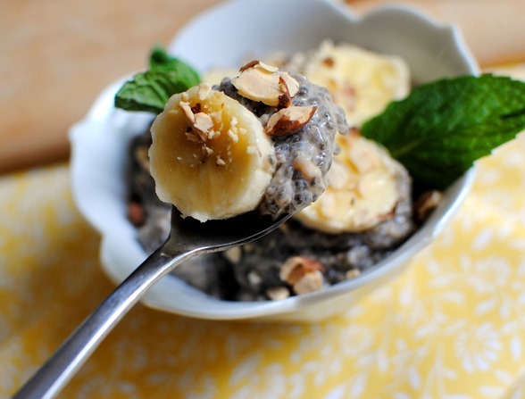 Chia Seed Pudding Recipe