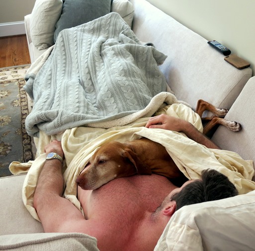 Cuddling Vizsla
