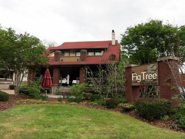 Fig Tree Charlotte