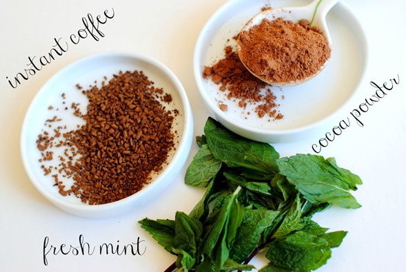 Mocha Mint Smoothie Ingredients