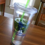 fresh mint in water fresh mint in water