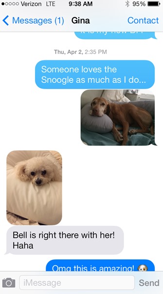 julie gina text
