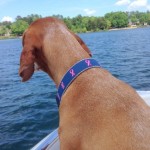 Sadie Lake Norman Sadie Lake Norman