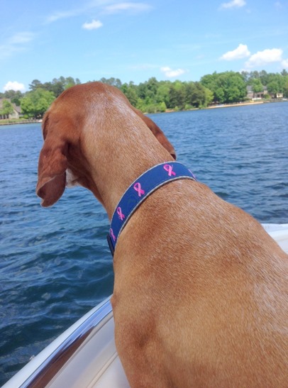 Sadie Lake Norman