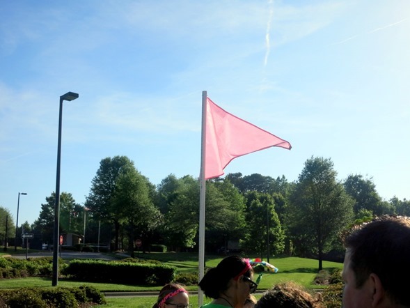 pink flag