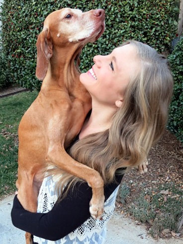 vizsla
