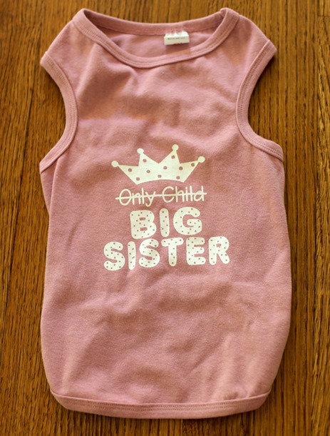 Big Sister Dog Shirt