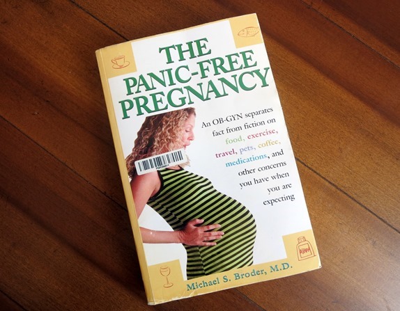 Panic Free Pregnancy