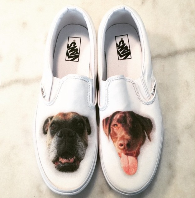 vans with dogs on them
