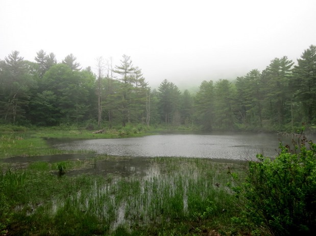 Pleasant Valley Hiking Lenox