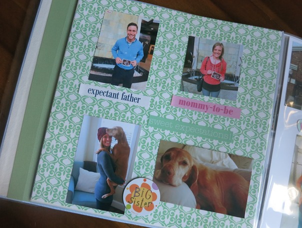 Pregnancy Scrapbook