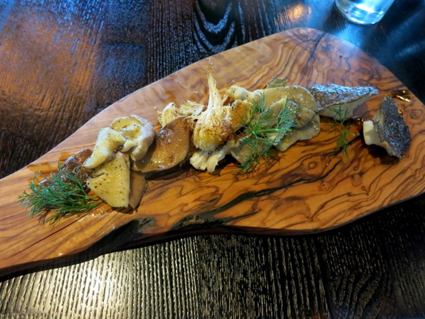 canyon ranch mushrooms