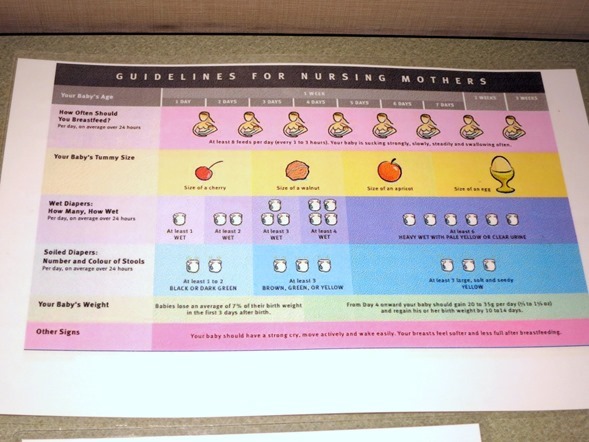 baby feeding guidelines
