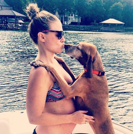 dog and baby bump