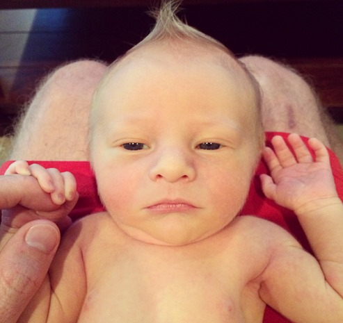 Baby Mohawk