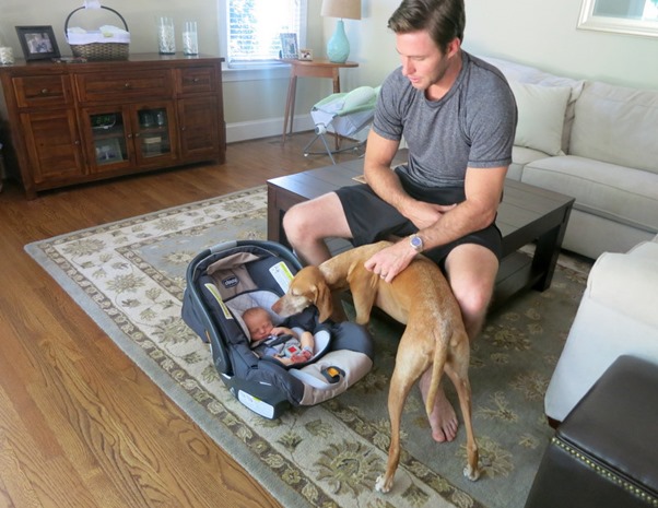 Dog Meeting Baby