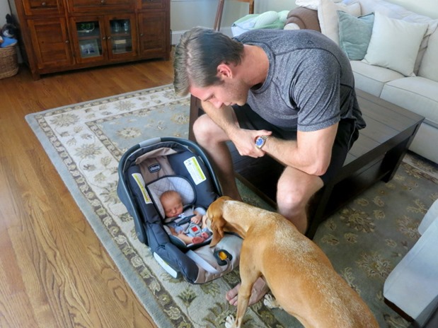 Dog Meets Baby